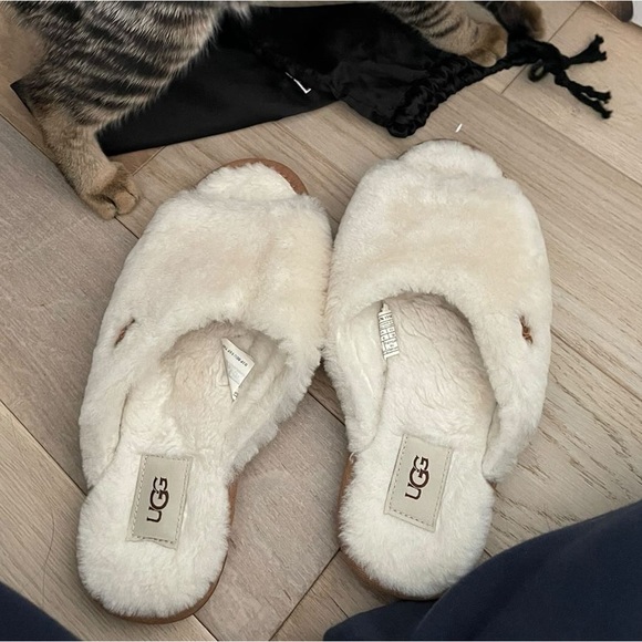 Ugg Slippers NWOT - Picture 1 of 1
